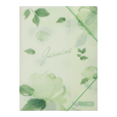 Папка на резинках ARABESKI, A4, матовый непрозрачный пластик, мятный