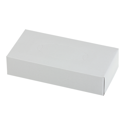 Салфетки косметические BUROCLEAN, 200*190 мм, 100шт., 2-х сл., в пенале, белые