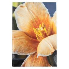 Книга записная А4, 192 л., клет., Flora, желтая Книга записная А4, 192 л., клет., Flora, желтая