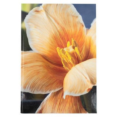 Книга записная А4, 192 л., клет., Flora, желтая