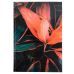 Книга записная А4, 192 л., клет., Flora, оранжевая Книга записная А4, 192 л., клет., Flora, оранжевая