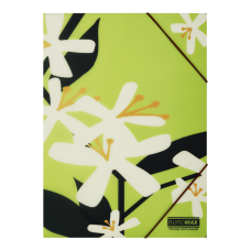 Папка А4 на гумках, PLUMERIA ARABESKI, напівпрозора, салатова