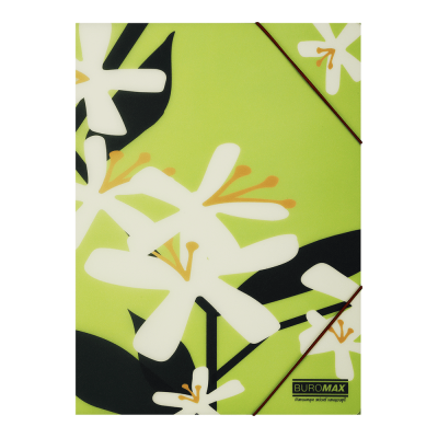 Папка А4 на гумках, PLUMERIA ARABESKI, напівпрозора, салатова