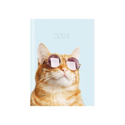 Ежедневник датированный 2024, А5