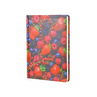 Ежедневник недатированный, ECONOMIX А5