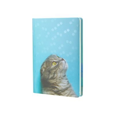 Ежедневник недатированный, ECONOMIX А5