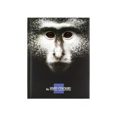 Блокнот "Vivid Colours", А5, твердая обл., 80 стр, клетка Блокнот "Vivid Colours", А5, твердая обл., 80 стр, клетка