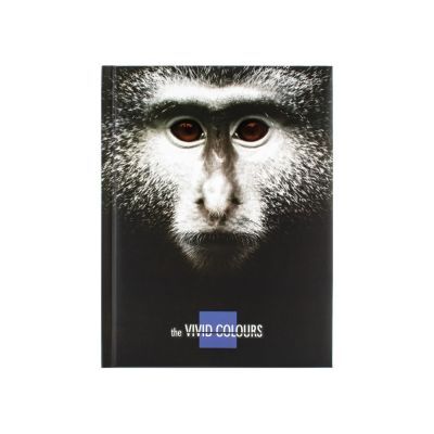 Блокнот "Vivid Colours", А5, твердая обл., 80 стр, клетка