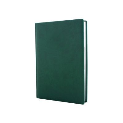 Ежедневник недатированный, Optima тиснение Notebook, Vivella, кремовый блок, клетка, зеленый, A5