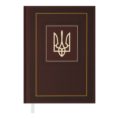 Ежедневник датир. 2024 NATION, A5, коричневый