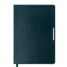 Ежедневник датированный 2026 SALERNO A5 зеленый