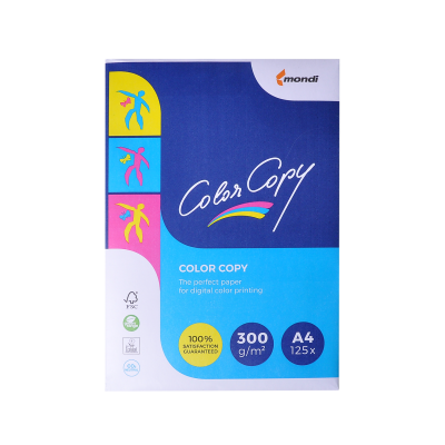 Бумага Color Copy А4 300 г/м2