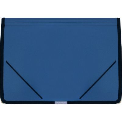 Папка на резинках А4 с визиткой на внешнем кармане, Economix 