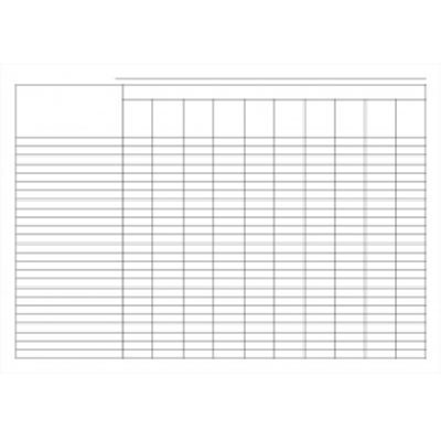 Пустографка, офс., А3 1+1, 100 аркушів (41631)